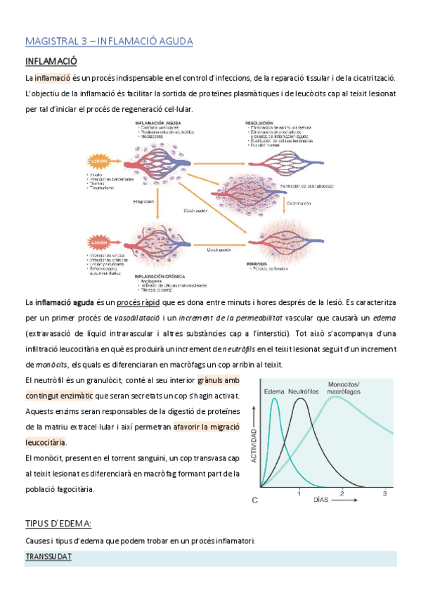 Miniatura del documento MAGISTRAL-03.pdf