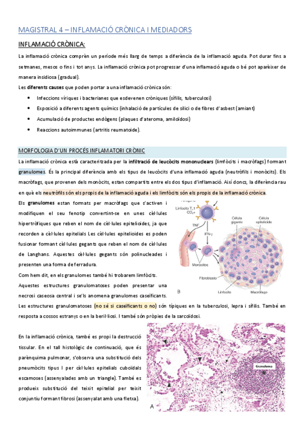 Miniatura del documento MAGISTRAL-04.pdf
