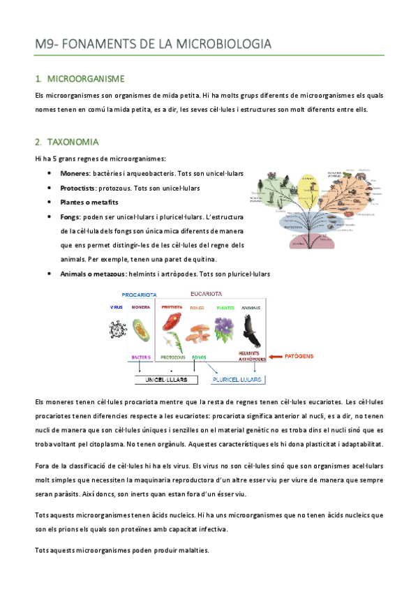 Miniatura del documento MAGISTRAL-09-14.pdf