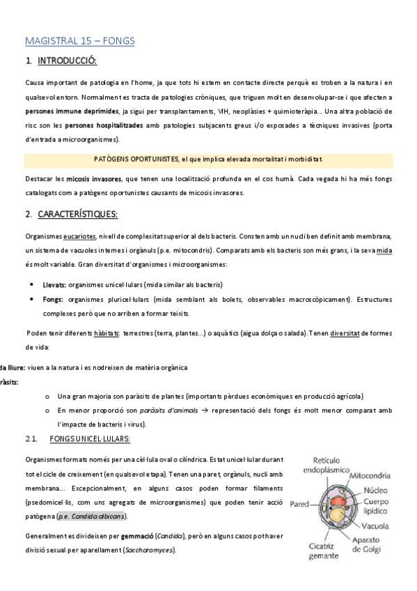 Miniatura del documento MAGISTRAL-15.pdf