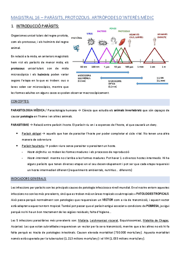 Miniatura del documento MAGISTRAL-16.pdf
