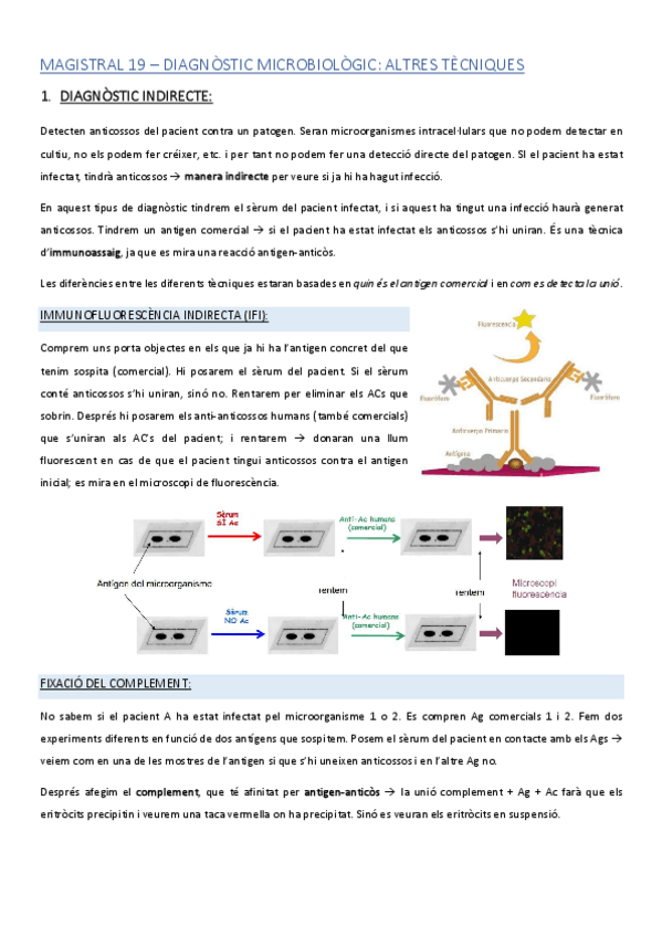 Miniatura del documento MAGISTRAL-19.pdf