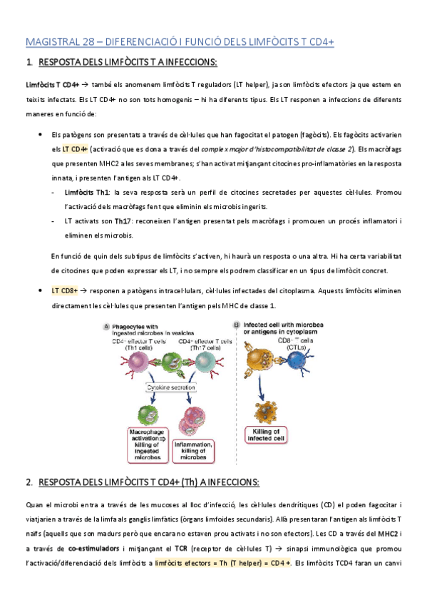 Miniatura del documento MAGISTRAL-28.pdf