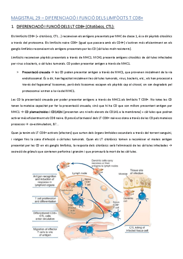 Miniatura del documento MAGISTRAL-29.pdf