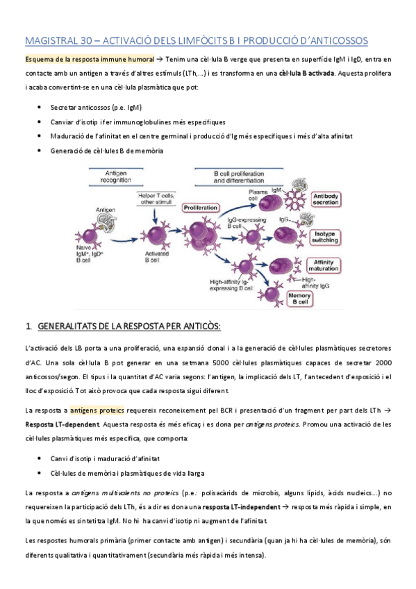Miniatura del documento MAGISTRAL-30.pdf