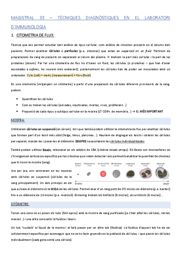 Miniatura del documento MAGISTRAL-33.pdf
