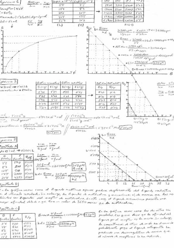 Miniatura del documento Examen-y-ejercicios.pdf