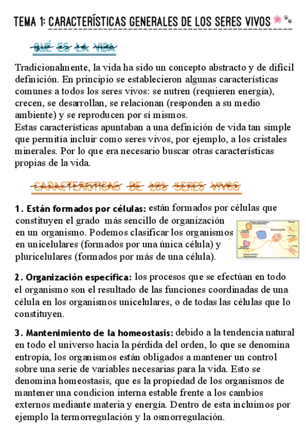 Miniatura del documento TEMARIO-COMPLETO-BIOLOGIA.pdf