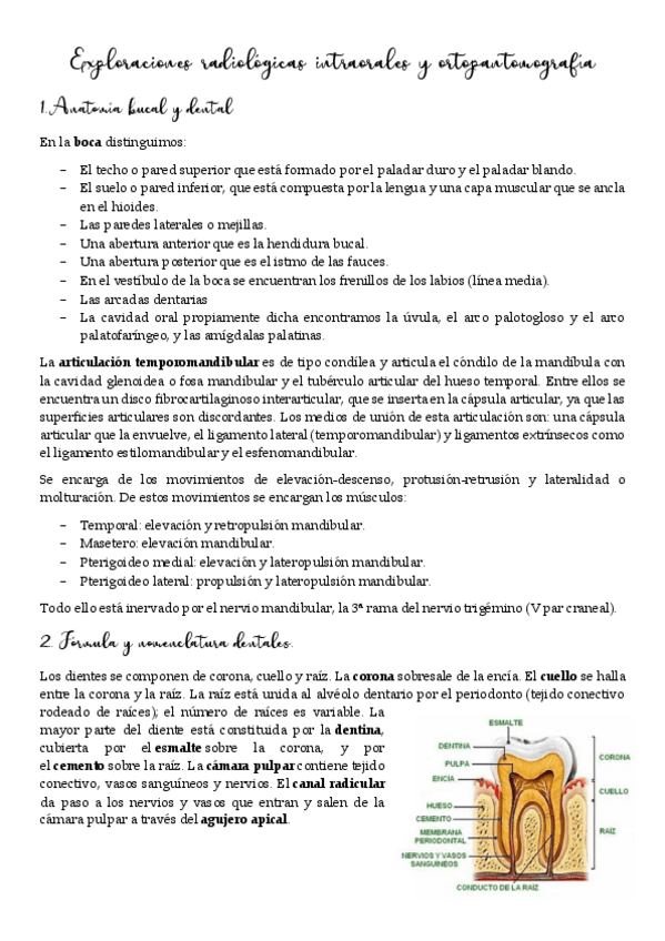 Miniatura del documento Radiologia dental.pdf