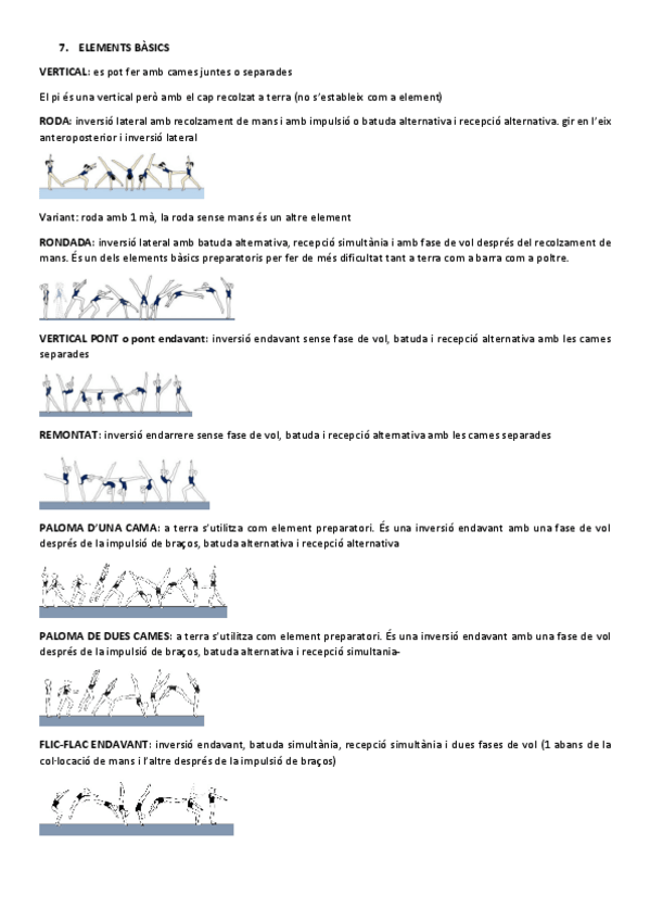 Miniatura del documento elements-basics.pdf