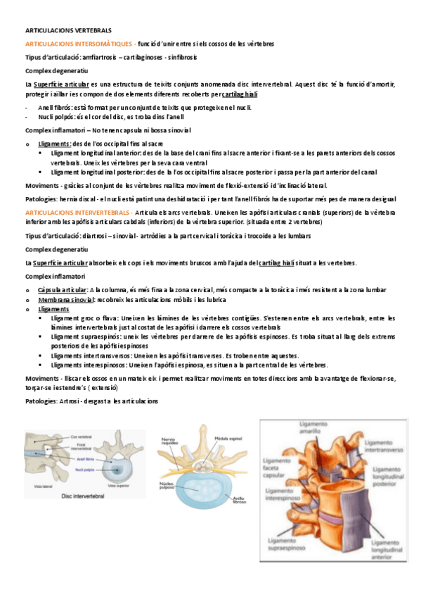 Miniatura del documento TRONC.pdf