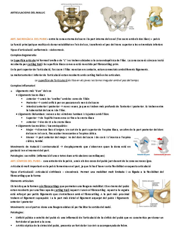 Miniatura del documento EXTREMITAT-INFERIOR.pdf