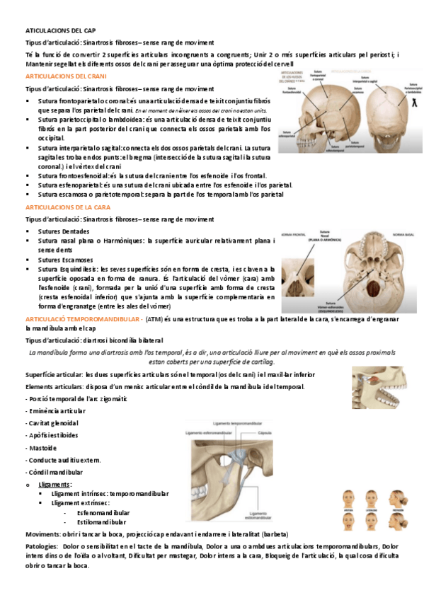 Miniatura del documento EXTREMITAT-SUPERIOR.pdf