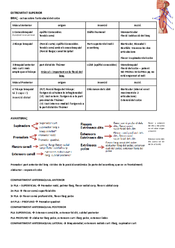 Miniatura del documento 4.pdf
