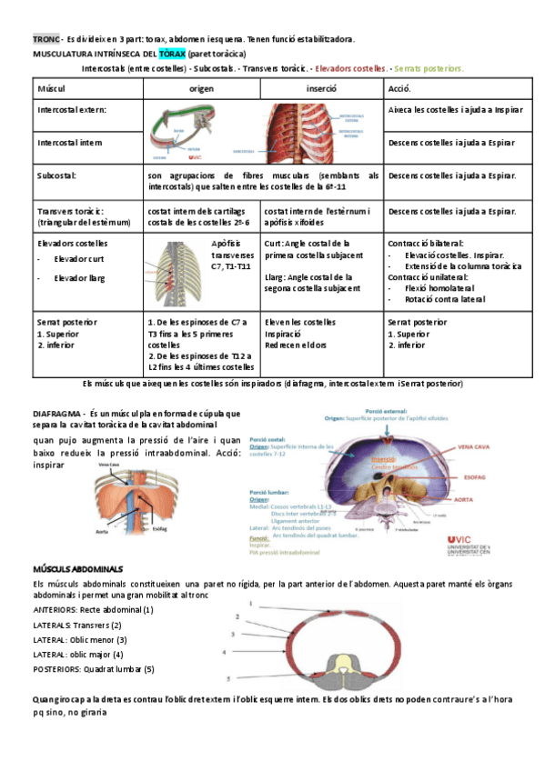 Miniatura del documento 3.pdf