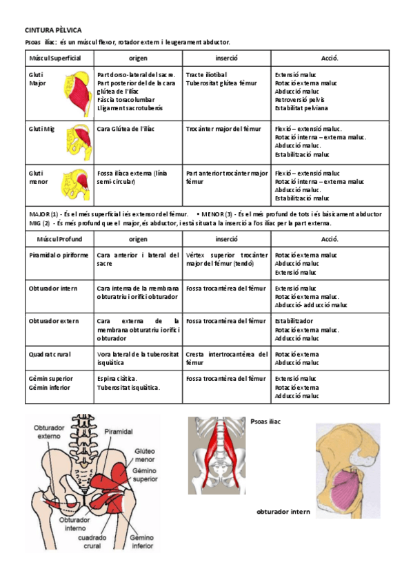 Miniatura del documento 6.pdf