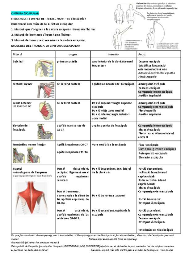 Miniatura del documento 5.pdf