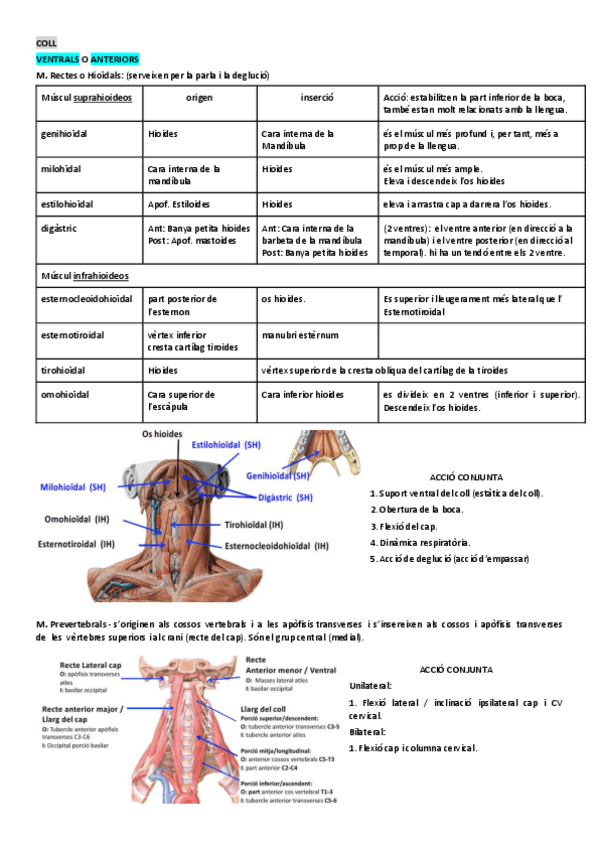 Miniatura del documento 2.pdf