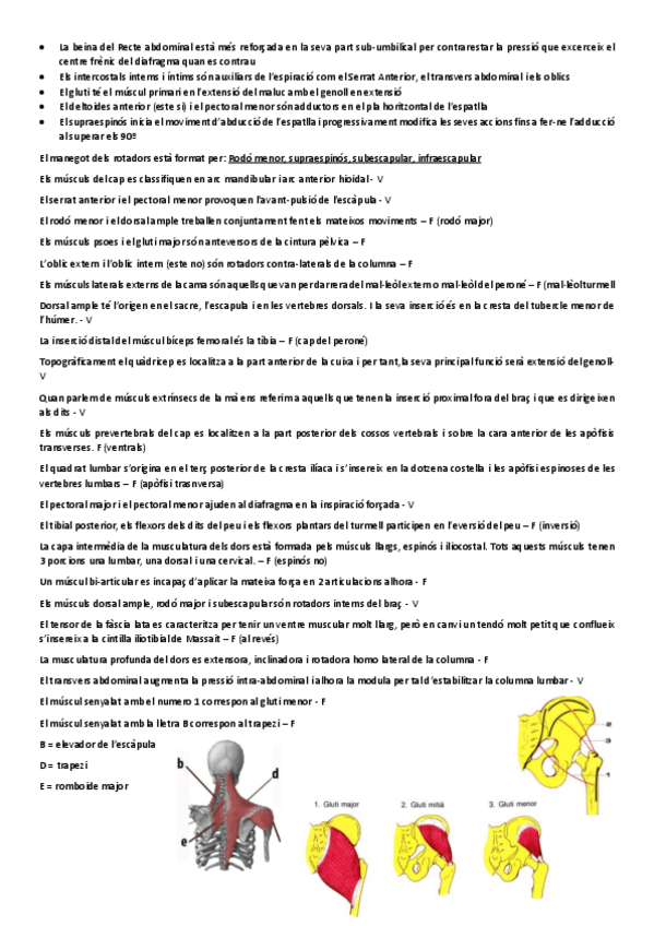 Miniatura del documento MIOLOGIA.pdf