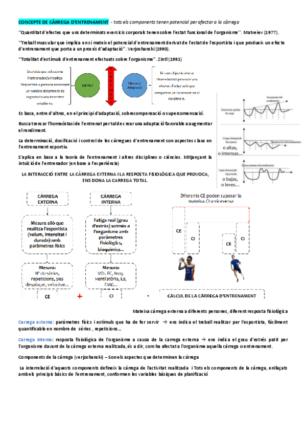 Miniatura del documento 2.pdf