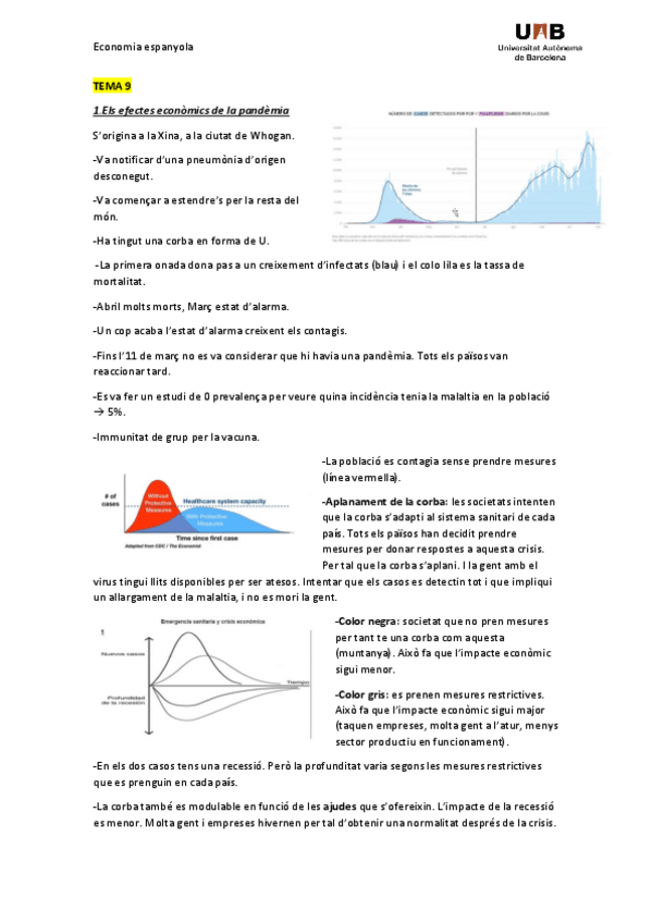Miniatura del documento APUNTS-FINAL.pdf