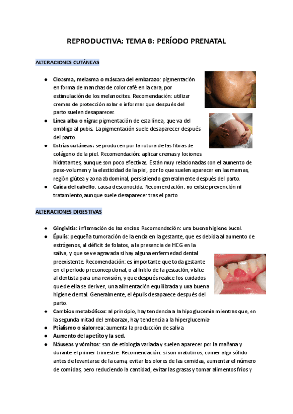 Miniatura del documento REPRODUCTIVA-TEMA-8-PERIODO-PRENATAL.pdf