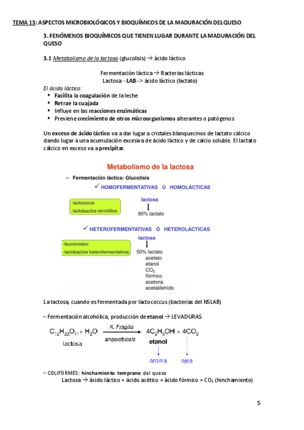 Miniatura del documento TEMA-13-parte-2.pdf