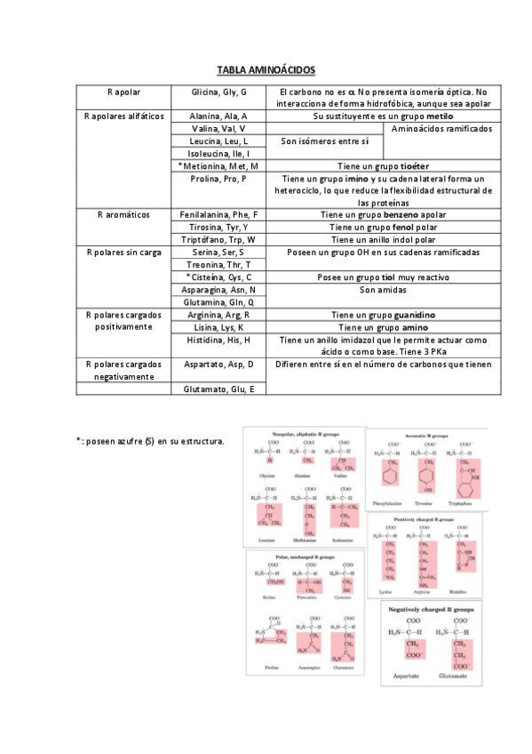 Miniatura del documento TABLA-AMINOACIDOS.pdf