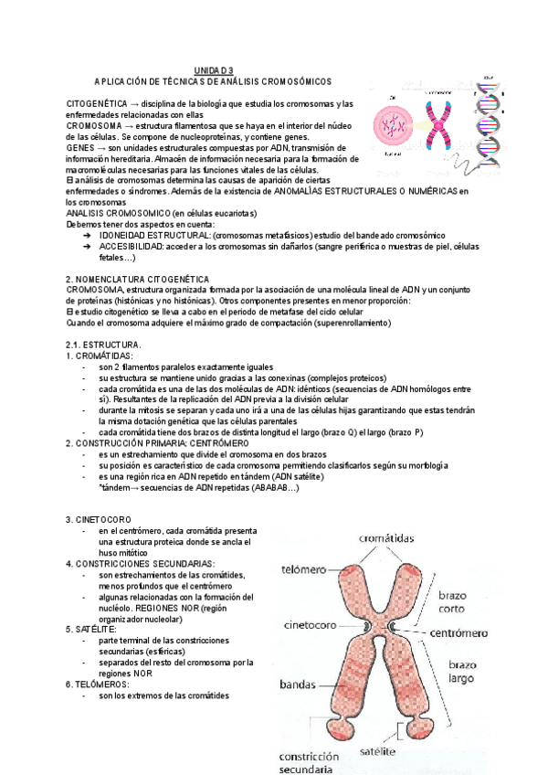 Miniatura del documento UNIDAD-3.pdf