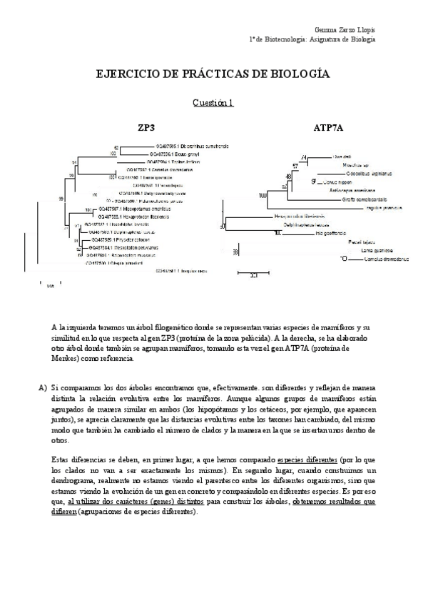 Miniatura del documento Ejercicio-Practicas-BiologiaGemma-Zarzo-Llopis.pdf
