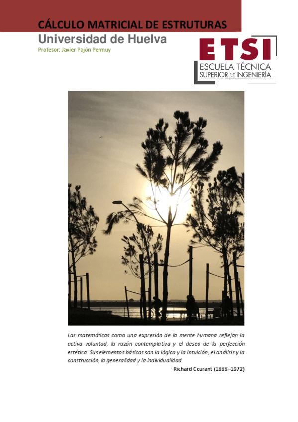 Miniatura del documento TEMA-V-CALCULO-MATRICIAL-DE-ESTRUCTURAS.pdf