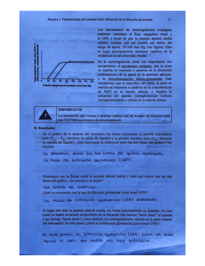 Miniatura del documento Cuadernillo-Practicas-Fisiopato.pdf