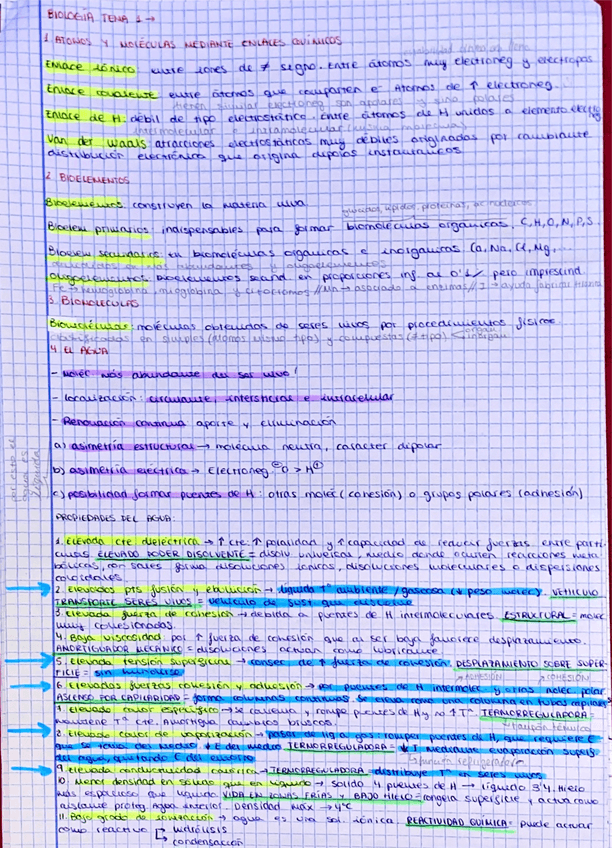 Miniatura del documento biologia-temas-1-2-3.pdf