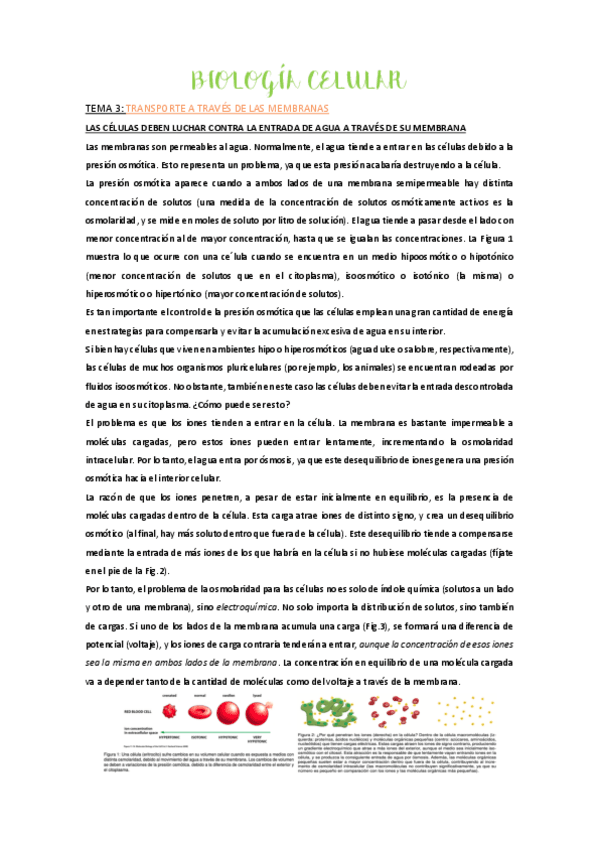Miniatura del documento tema-3-pdf.pdf