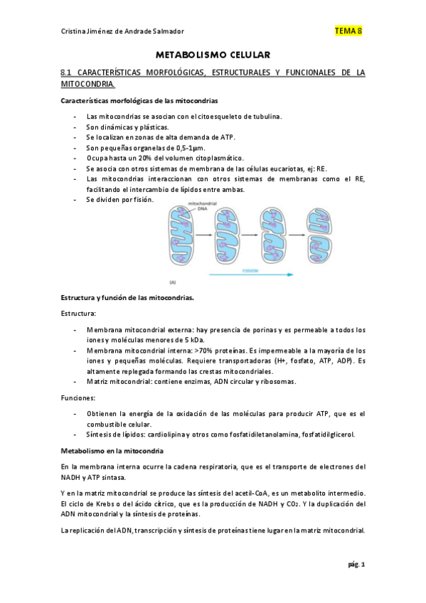 Miniatura del documento BIOLOGIA-T.pdf