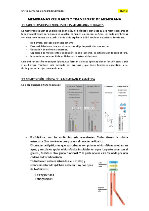 Miniatura del documento BIOLOGIA-T.pdf