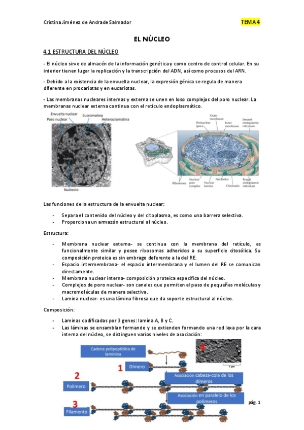 Miniatura del documento BIOLOGIA-T.pdf