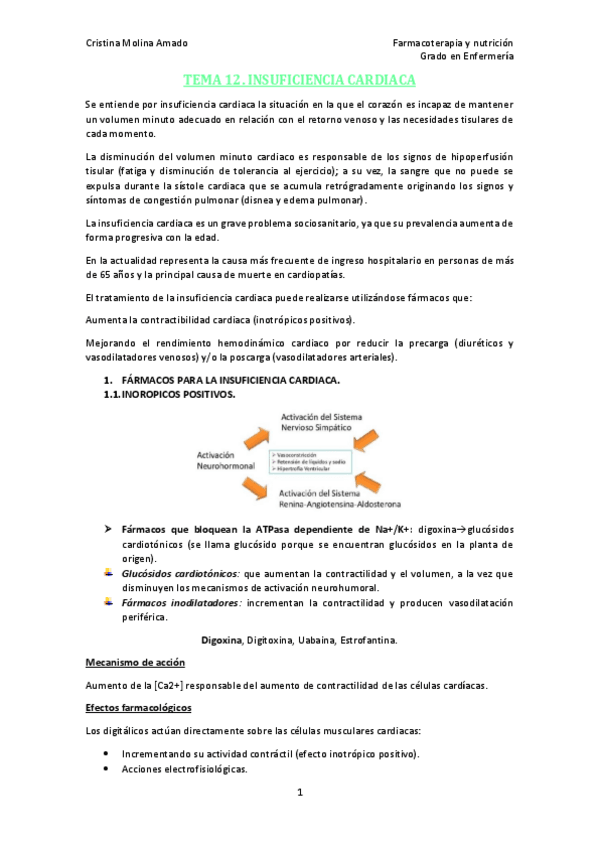 Miniatura del documento TEMA-12.pdf