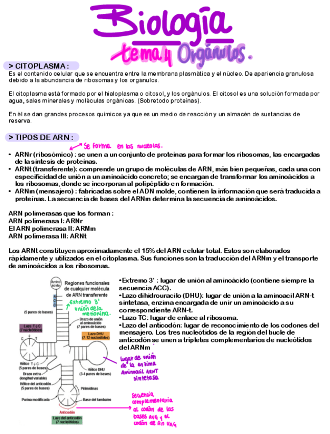 Miniatura del documento BIOLOGIA-UDI-4-.pdf