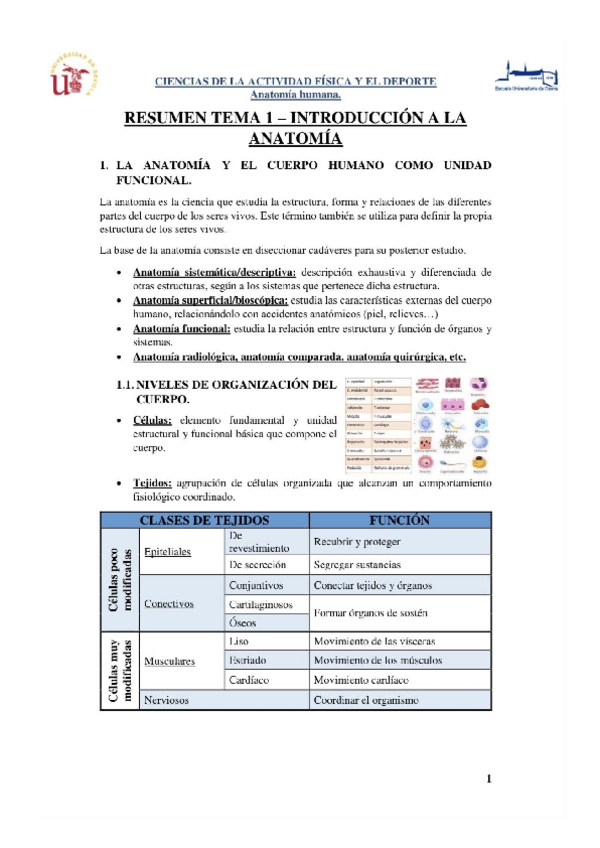 Miniatura del documento Tema-1-Anatomia.pdf