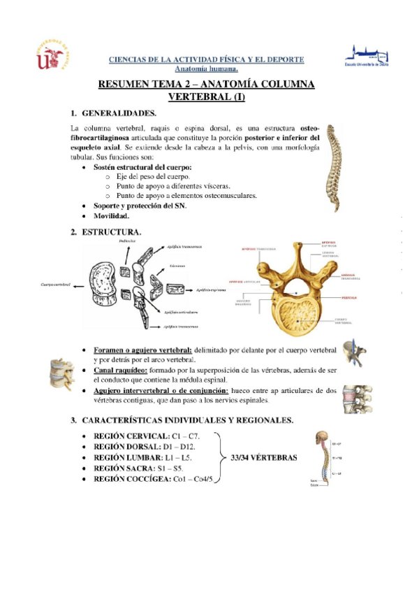 Miniatura del documento Tema-2-Anatomia.pdf