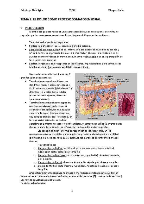 Miniatura del documento Tema 2.pdf
