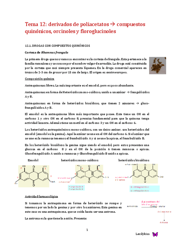 Miniatura del documento tema 12 farmacognosia.pdf
