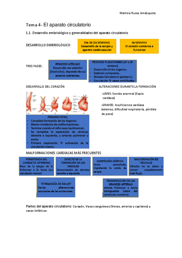 Miniatura del documento aparato-circulatorio-tema-4.pdf