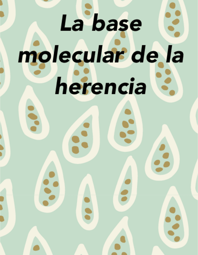 Miniatura del documento Tema-13.pdf