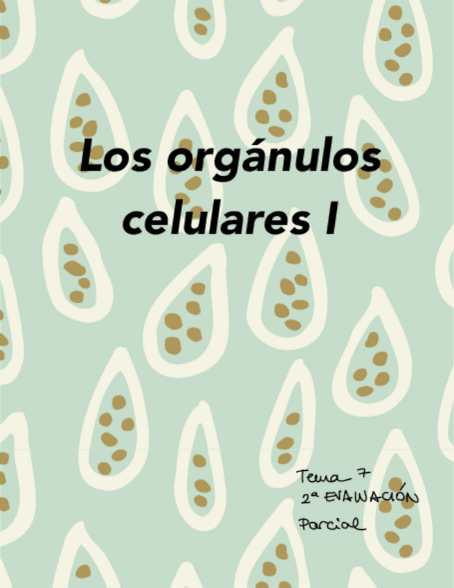 Miniatura del documento Tema-7.pdf