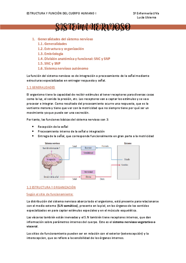 Miniatura del documento SISTEMA-NERVIOSO-PARTE-1.pdf