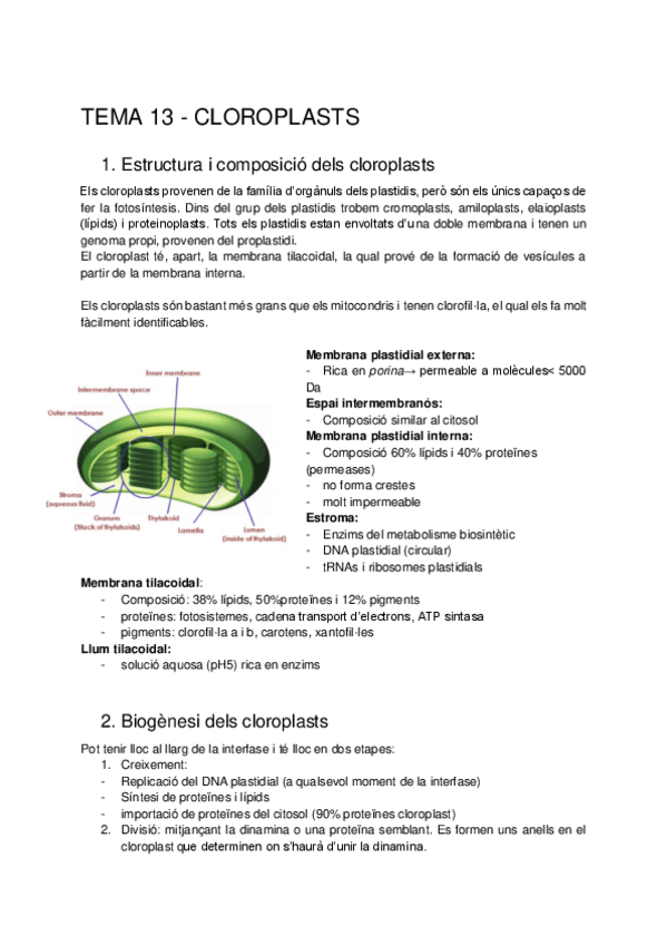 Miniatura del documento Biocel-tema-13.pdf