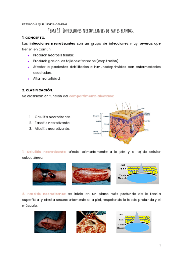 Miniatura del documento TEMA-19-PQG.pdf