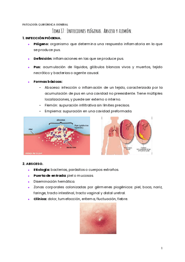 Miniatura del documento TEMA-17-PQG.pdf